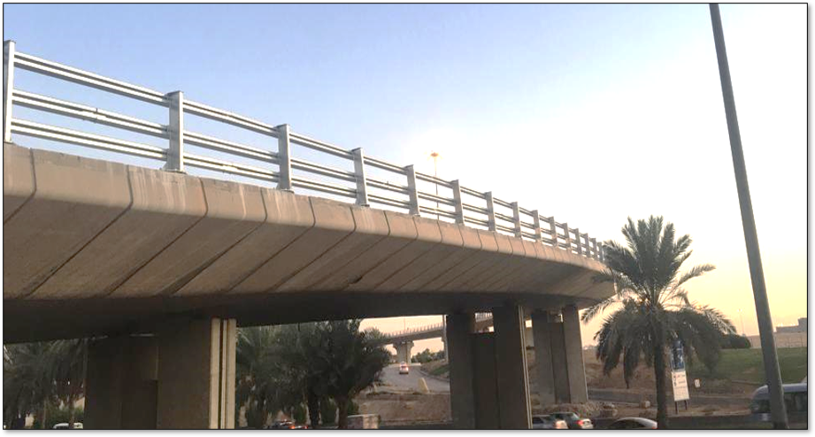 DASCO Guard Rail Overview